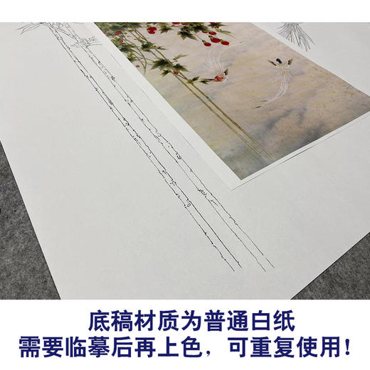【无步骤】李长白竖幅工笔花鸟画白描底稿《树梅寿带》LB18 商品图3