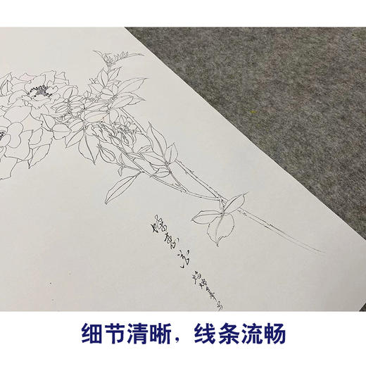 【无步骤】李长白工笔花鸟画白描底稿《蝶恋花 》斗方小品册页-LB06 商品图4