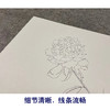 【无步骤】李长白工笔花鸟画白描底稿《芍药》斗方小品册页-LB17 商品缩略图4