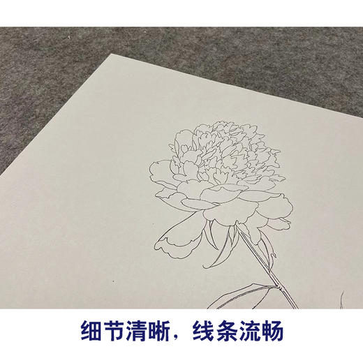 【无步骤】李长白工笔花鸟画白描底稿《芍药》斗方小品册页-LB17 商品图4