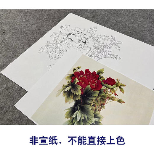 【无步骤】李长白工笔花鸟画白描底稿《牡丹》斗方小品册页-LB11 商品图2