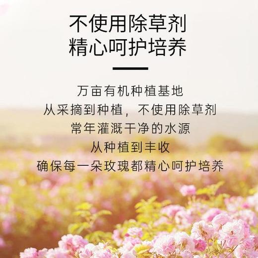 羽心堂 凡多姆玫瑰花冠王30g【送条饮单包*4或茶单包*4+花冠王3g*1】[福利品] 商品图4