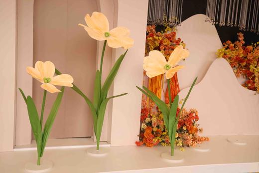 美仙子（运费自理） 商品图4