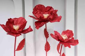 虞美人（运费自理）