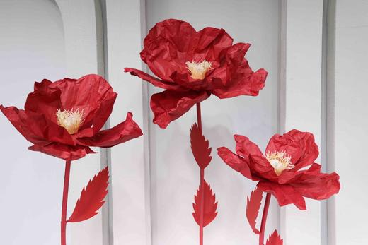 虞美人（运费自理） 商品图0