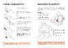 腹部功能康复训练 商品缩略图9