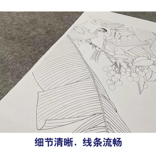 【无步骤】李长白竖幅工笔花鸟画白描底稿《红了樱桃绿了芭蕉 》LB08 商品图4