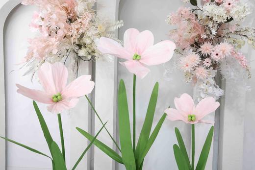 美仙子（运费自理） 商品图3