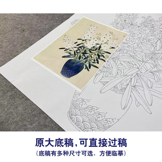 【无步骤】李长白工笔花鸟画白描底稿《瓶花》斗方小品册页-LB14 商品图1