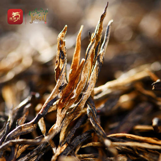 几棵树鼎红古树红茶270克 商品图1