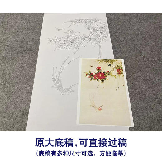 【无步骤】李长白竖幅工笔花鸟画白描底稿《山茶寿带》LB16 商品图1