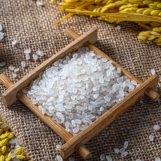 【要你型】5kg南粳香软米 品牌好粮 农场种植 品质质检 来自大自然的馈赠 商品图2