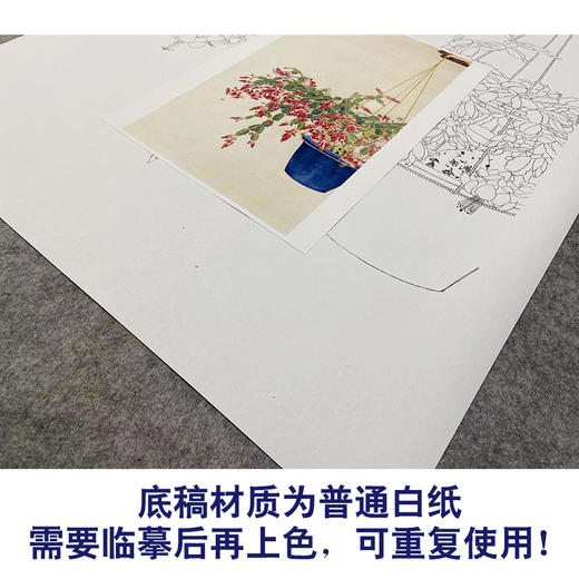 【无步骤】李长白竖幅工笔花鸟画白描底稿《蟹爪兰》LB20 商品图3