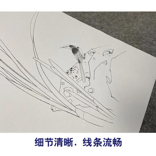 【无步骤】李长白竖幅工笔花鸟画白描底稿《清趣》LB15 商品图4