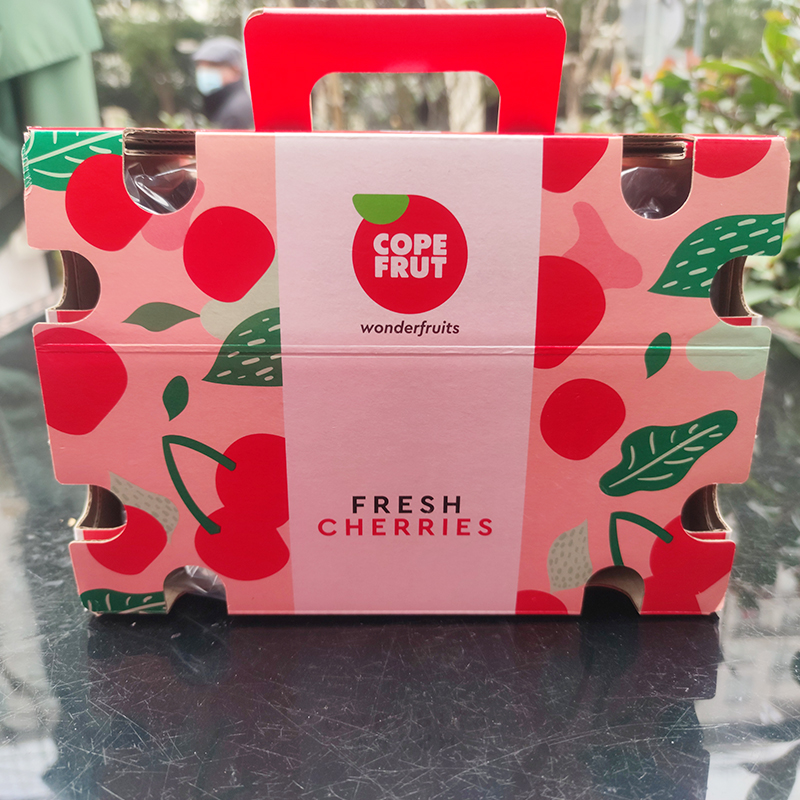 智利santina促销车厘子单j级别2斤装盒5斤装礼盒装果径2628mm