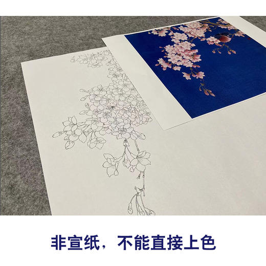 【无步骤】李长白工笔花鸟画白描底稿《春意》斗方小品册页-LB04 商品图2