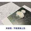 【无步骤】李长白工笔花鸟画白描底稿《白牡丹 》斗方小品册页-LB01 商品缩略图2