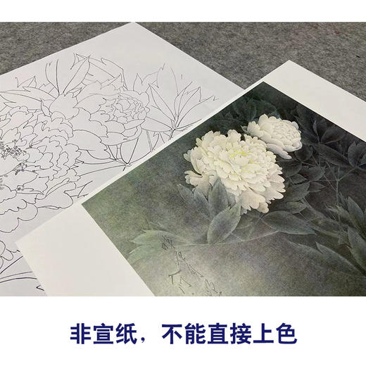 【无步骤】李长白工笔花鸟画白描底稿《白牡丹 》斗方小品册页-LB01 商品图2
