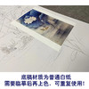【无步骤】李长白竖幅工笔花鸟画白描底稿-荷花《并蒂莲》LB02 商品缩略图3