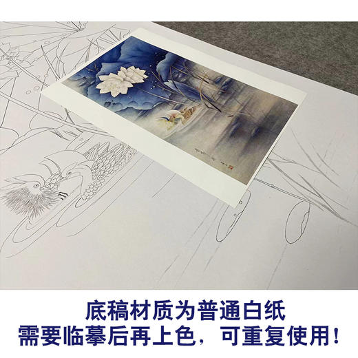 【无步骤】李长白竖幅工笔花鸟画白描底稿-荷花《并蒂莲》LB02 商品图3