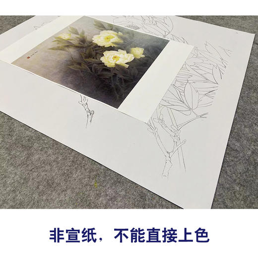【无步骤】李长白工笔花鸟画白描底稿《黄牡丹  》斗方小品册页-LB09 商品图2