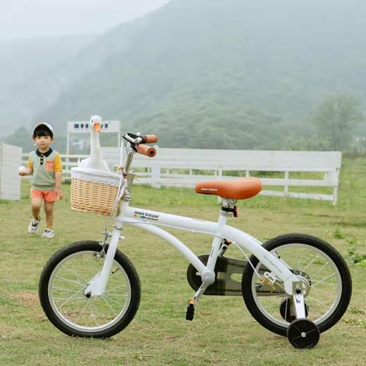 Montresor儿童自行车经典彩虹系列（三种颜色） 商品图2