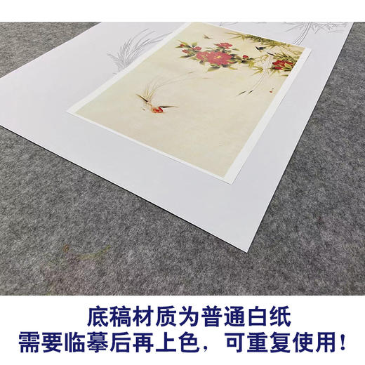 【无步骤】李长白竖幅工笔花鸟画白描底稿《山茶寿带》LB16 商品图3