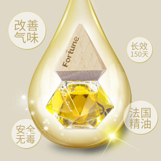 朗龙车载香水~ 商品图3