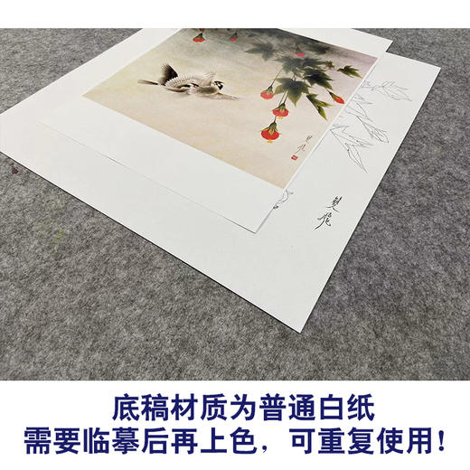 【无步骤】李长白工笔花鸟画白描底稿《双飞图》斗方小品册页-LB19 商品图3