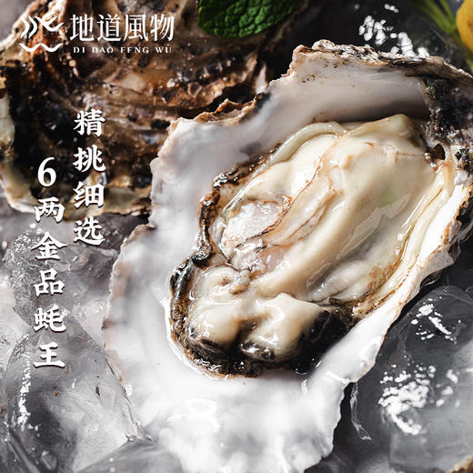 新鲜乳山生蚝 原产地直采 精选6两蚝王 丰腴肥美 入口嫩滑淡淡乳香 商品图2
