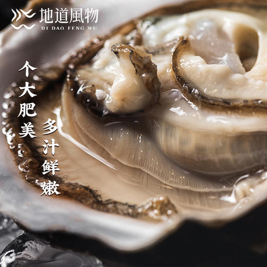 新鲜乳山生蚝 原产地直采 精选6两蚝王 丰腴肥美 入口嫩滑淡淡乳香 商品图3