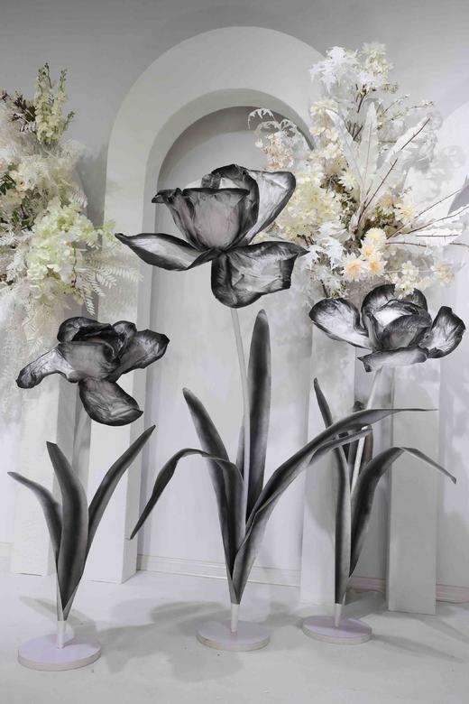 鸢尾花（运费自理） 商品图9