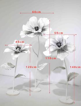 茶花（运费自理）