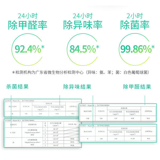 朗龙 净味炭膏新车除甲醛 商品图4