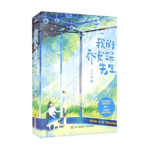 我的乔安琛先生 江小绿 著 青春文学 商品图1