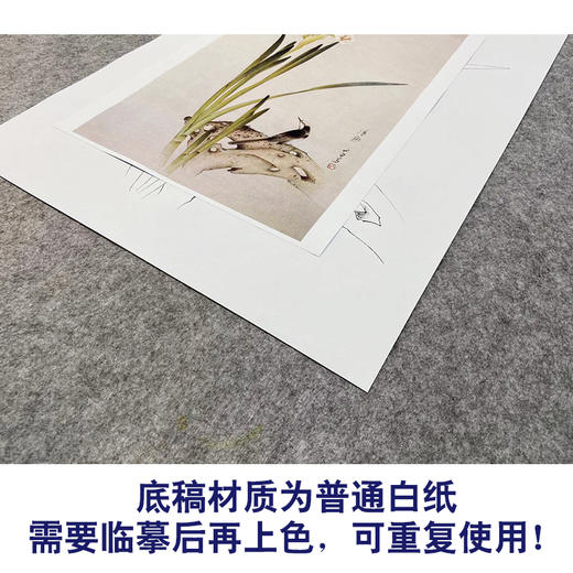 【无步骤】李长白竖幅工笔花鸟画白描底稿《清趣》LB15 商品图3