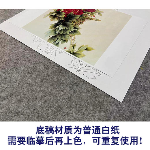 【无步骤】李长白工笔花鸟画白描底稿《牡丹》斗方小品册页-LB11 商品图3