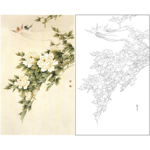 【无步骤】李长白竖幅工笔花鸟画白描底稿《牡丹寿带》LB13 商品图0