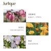 Jurlique/茱莉蔻玫瑰护手霜100ml细嫩补水保湿秋冬滋润护理澳洲 商品缩略图2