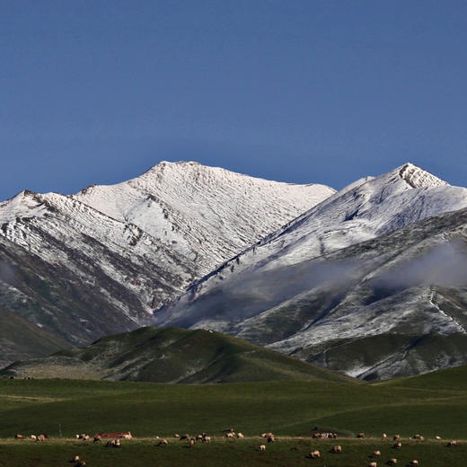 2晚起订【甘南诺尔丹营地】全新开营！全年同价！含每日豪华三餐、管家全程陪同免费参观拉卜楞寺、诺乐工坊，12岁以下儿童更享免费入住，高端野奢新目标！ 商品图8