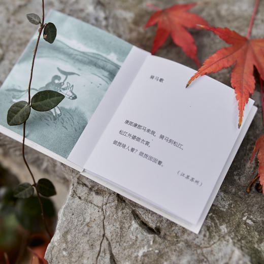 中国儿歌 商品图6