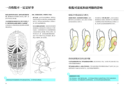 腹部功能康复训练 商品图7