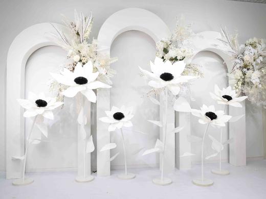 向日葵（运费自理） 商品图5