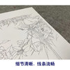 【无步骤】李长白竖幅工笔花鸟画白描底稿《山茶寿带》LB16 商品缩略图4