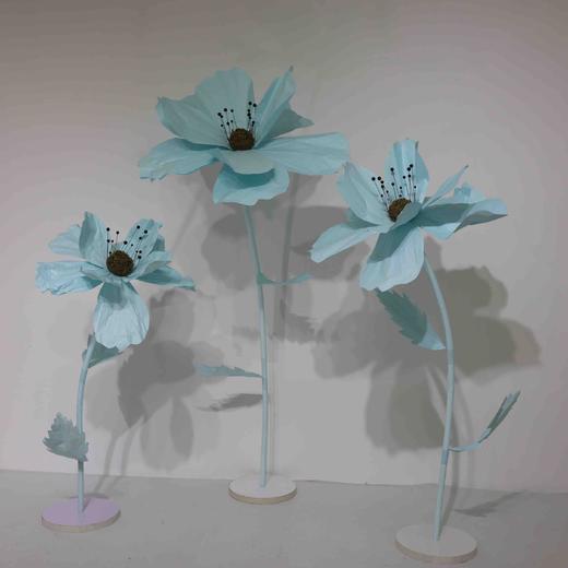 秋英（运费自理） 商品图8