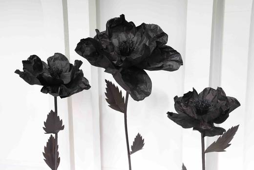 虞美人（运费自理） 商品图1