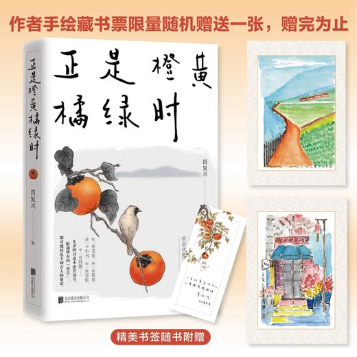 正是橙黄橘绿时（“中国好书奖”获得者肖复兴暖心新作，温暖你的三餐和四季！） 商品图1