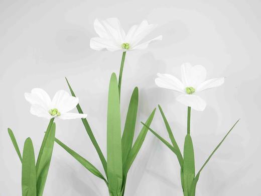 美仙子（运费自理） 商品图2