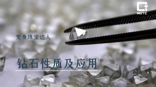 变身珠宝达人 | 钻石性质及应用 商品图0