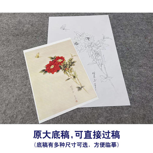 【无步骤】李长白工笔花鸟画白描底稿《蝶恋花 》斗方小品册页-LB06 商品图1